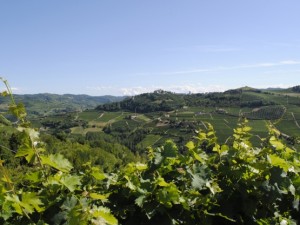 A taste of Monferrato